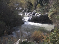 cantara gurne23122011 127